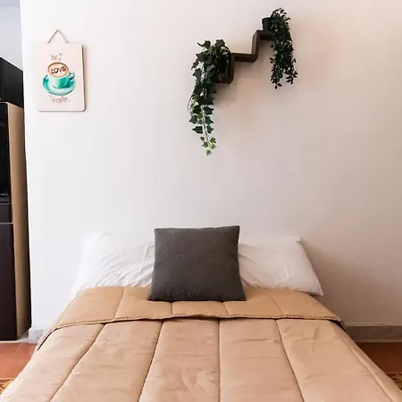 Historic Core Apartment *